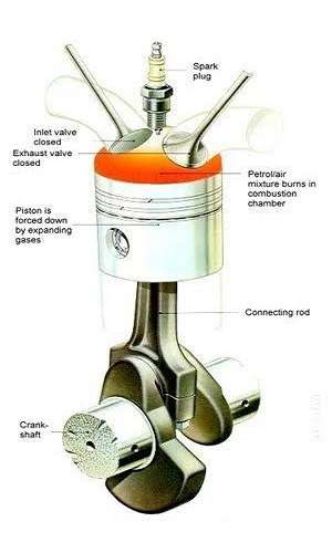 the engine cylinder