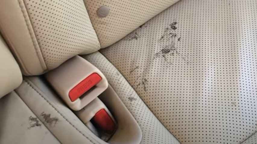 How To Remove Grease From Leather Car Seats