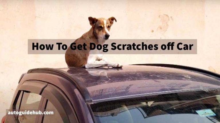 how-to-get-dog-scratches-off-car-quick-ways-to-fix